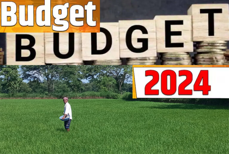 WebMorcha Web Morcha interim budget