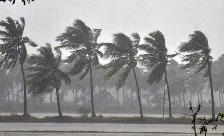 Monsoon 2024