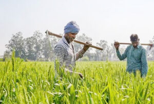 किसानों की बल्ले-बल्ले: बुधवार को मिलेगी सम्मान राशि, 21वीं किश्त जारी होगी Web Morcha PM Kisan Samman Nidhi