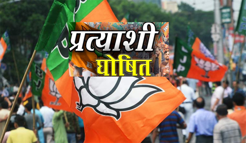 WebMorcha Web Morcha महासमुंद जिले निकाय चुनाव के लिए BJP कंडीडेट