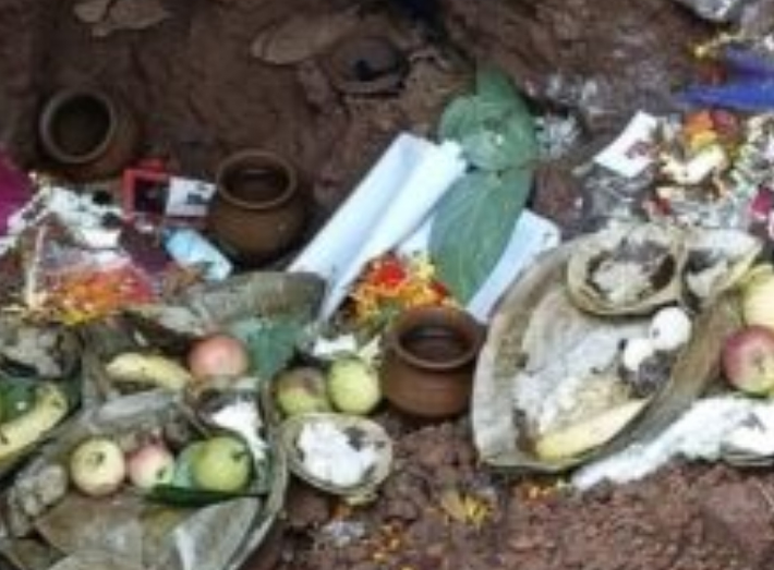 क्या सिरपुर में गड़ा है धन? तांत्रिकों का डेरा, जंगल में मिले रहस्यमयी अवशेष! Web Morcha सिरपुर