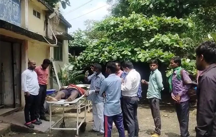 WebMorcha Web Morcha कोरबा। हरदी बाजार के उतरदा गांव