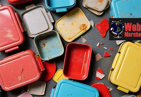 Vastu Tips for New Year 2026: नए साल में सुख‑शांति और तरक्की के लिए अपनाएं ये आसान उपाय Web Morcha पुराने और टूटे सामान को करें बाहर