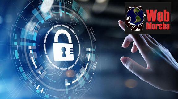 करियर और पेशेवर जीवन