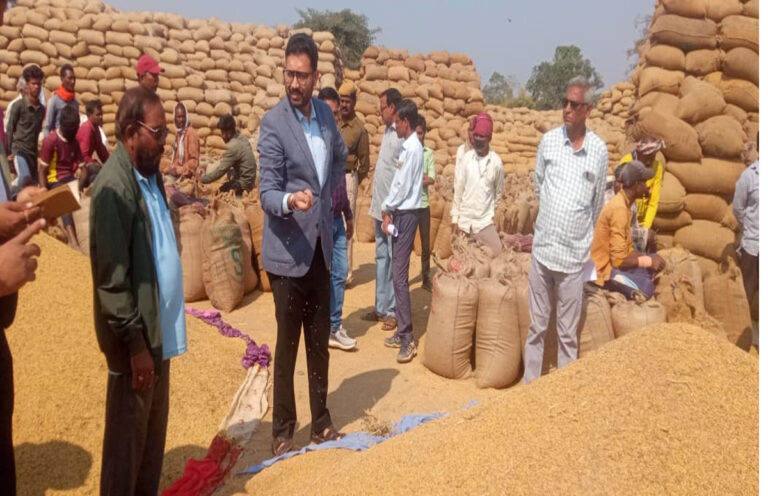 महासमुंद, अवैध धान परिवहन व खरीदी में लापरवाही