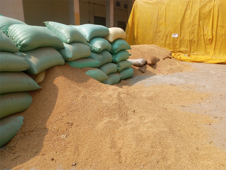 महासमुंद मंडी में जब्त धान के बोरे और खड़े वाहन, धान तस्करी पर प्रशासन की सख्त कार्रवाई