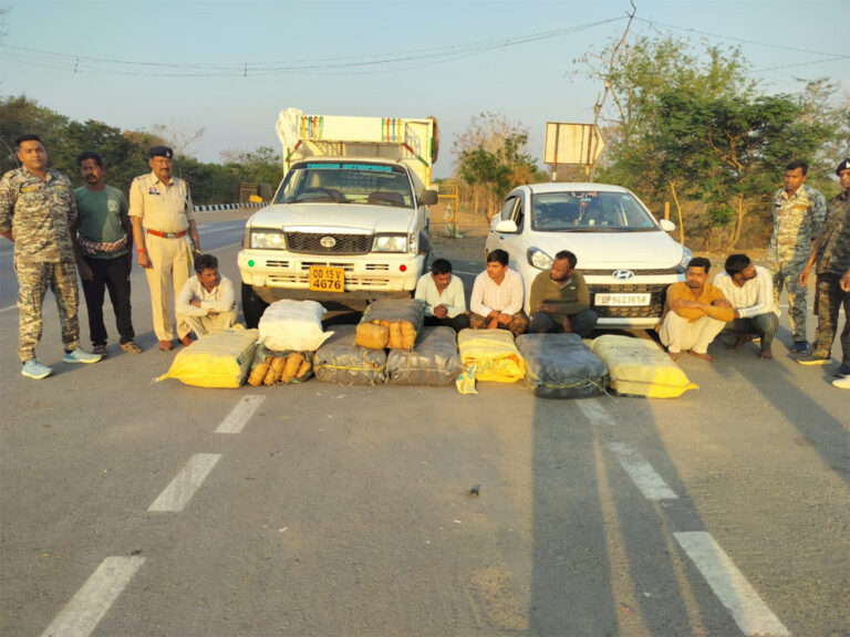 महासमुंद में पुलिस द्वारा तरबूज के नीचे छिपाकर ले जाए जा रहे गांजा की जब्ती करते हुए