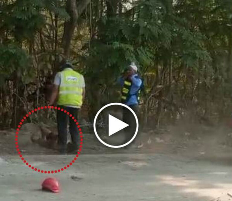 आम तोड़ने पर बच्चे से बेरहमी! गार्ड ने उठाकर पटका, VIDEO वायरल, मंत्री ने दिए सख्त कार्रवाई के आदेश