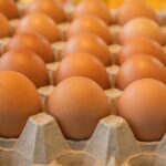 साप्ताहिक राशिफल: 16 मार्च से 22 मार्च 2026 तक जानें अपने भाग्य के राज़