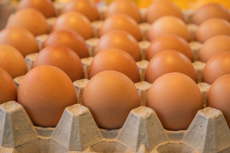 साप्ताहिक राशिफल: 16 मार्च से 22 मार्च 2026 तक जानें अपने भाग्य के राज़