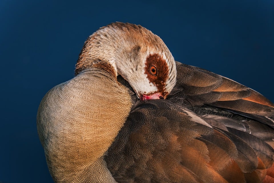 साप्ताहिक राशिफल: जानिए 16 मार्च से 22 मार्च 2026 तक आपके राशियों का हाल