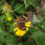 15 23 31 998 960 720 sitename%