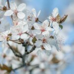 साप्ताहिक राशिफल: 16 मार्च से 22 मार्च 2026 तक जानें अपना भाग्य और शुभ अवसर!