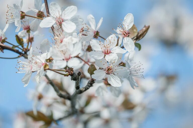 साप्ताहिक राशिफल: 16 मार्च से 22 मार्च 2026 तक जानें अपना भाग्य और शुभ अवसर!