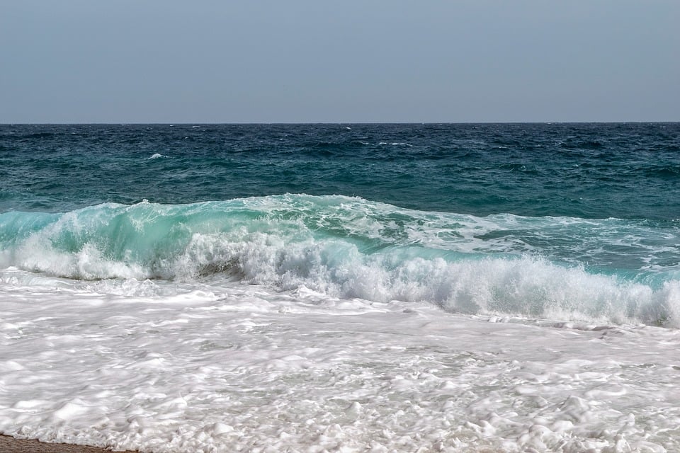 साप्ताहिक राशिफल: जानें 16 मार्च से 22 मार्च 2026 तक अपने सितारों का हाल