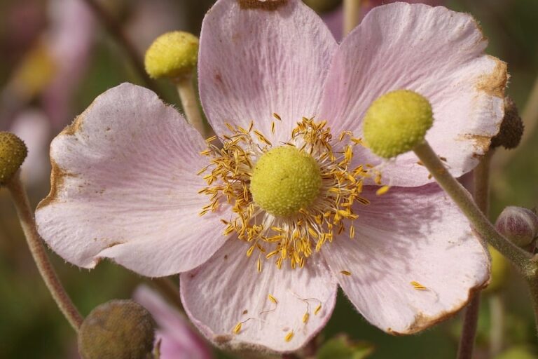 जानें साप्ताहिक राशिफल: 16 मार्च से 22 मार्च 2026 तक का भविष्य फल!