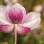 साप्ताहिक राशिफल: जानें 16 मार्च से 22 मार्च 2026 तक आपकी राशि का भविष्य