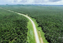 पाम ऑयल संकट: अब समोसे से लेकर साबुन तक सब होगा महंगा! जानिए कैसे आपकी जेब पर पड़ेगा असर 🛢️ पाम ऑयल संकट: अब समोसे से लेकर साबुन तक सब होगा महंगा! जानिए कैसे आपकी जेब पर पड़ेगा असर