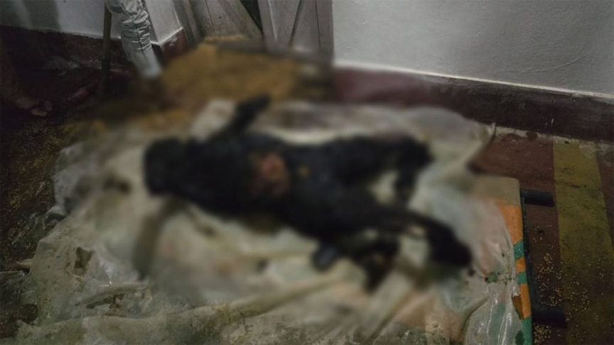 छोटे भाई ने बड़े भाई को कमरे में बंद कर जिंदा जलाया, जमीन विवाद बना वजह