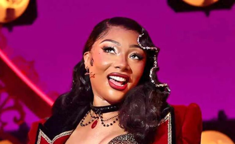 Megan Thee Stallion Hospitalized During Broadway Show
