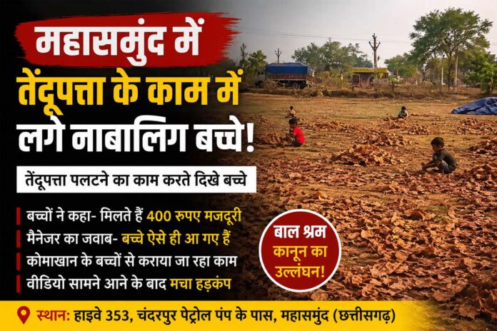 महासमुंद में बाल मजदूरी का वीडियो वायरल: तेंदूपत्ता पलटते दिखे मासूम बच्चे
