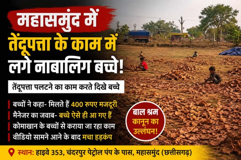 महासमुंद में बाल मजदूरी का वीडियो वायरल: तेंदूपत्ता पलटते दिखे मासूम बच्चे
