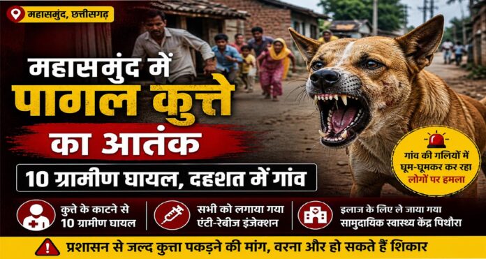 महासमुंद में पागल कुत्ते का हमला, 10 ग्रामीण घायल, गांव में दहशत का माहौल