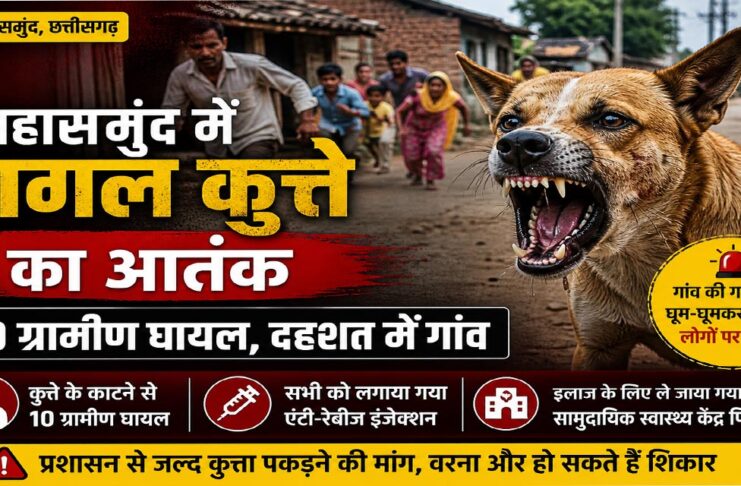 महासमुंद में पागल कुत्ते का हमला, 10 ग्रामीण घायल, गांव में दहशत का माहौल
