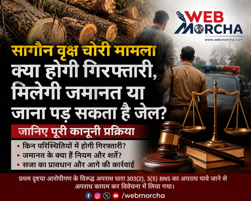 फॉलोअप खबर सागौन वृक्ष चोरी मामला: क्या होगी गिरफ्तारी, मिलेगी जमानत या जाना पड़ सकता है जेल? जानिए कानूनी प्रक्रिया