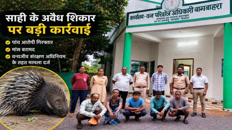 महासमुंद में साही के अवैध शिकार का भंडाफोड़: पांच आरोपी गिरफ्तार, वन्यजीव संरक्षण अधिनियम के तहत भेजे गए जेल